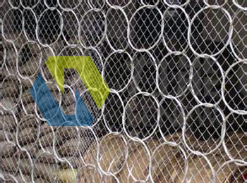 sns���Է��o(h��)�W(w��ng)