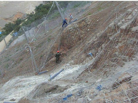 ����(d��ng)���o(h��)�W(w��ng)